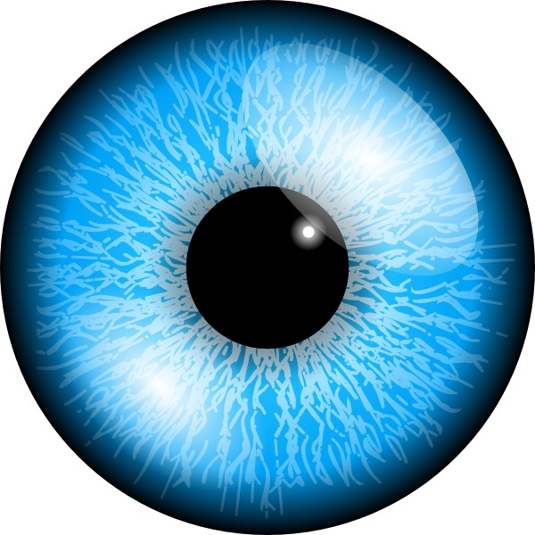 Blue Eye Clip Art at Clker.com - vector clip art online, royalty free ...