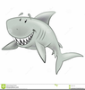 Swimming Shark Clipart Image