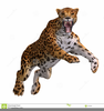 Jaguar Animal Clipart Image