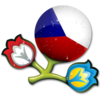 Euro 2012 Czech Republic 256 Image