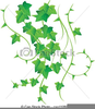 Vine Artwork Clipart Image