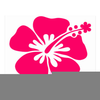 Clipart Flower Hawaii Image