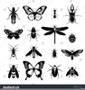 Ladybugs Clipart Black And White Image