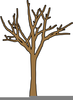 Trunk Of A Tree Clipart Image