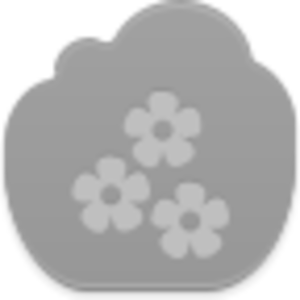 Flowers Icon Image