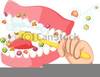 Clipart Teeth Cleaning Image