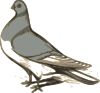 Pigeon Clip Art