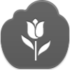 Tulip Icon Image