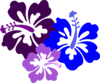 Hibiscus 23 Clip Art