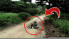 Duendes Reales Videos Image