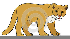 Puma Clipart Free Image