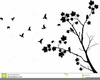 Free Clipart Birds In Flight Image