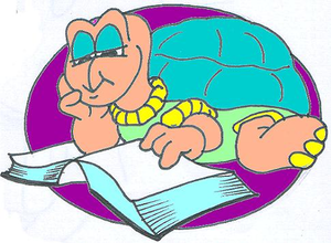 Turtle Image