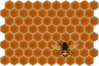 Bee On Honeycomb  Clip Art