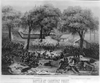 Battle At Carnifax Ferry Image