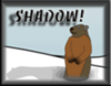 Groundhog Shadow Image