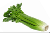 Clipart Celery Stalk Image