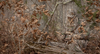 Camouflage Deer Hunting Image