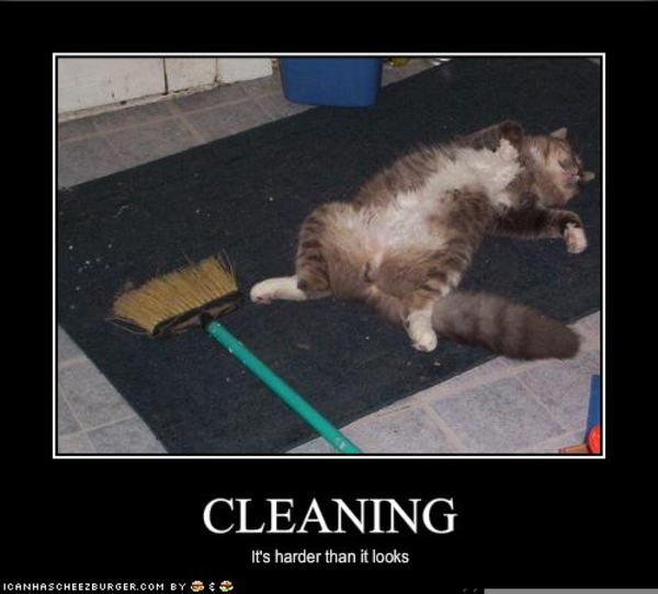  Funny  Spring Cleaning  Free Images at Clker com vector 