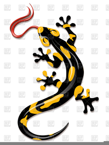 Free Salamander Clipart Image