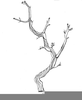 Bird On Twig Clipart Image