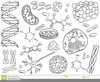 Organic Chemistry Clipart Image