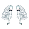 Cancan Image