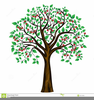 Fruit Country Free Clipart Image