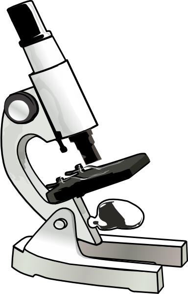 Microscope Clip Art at Clker.com - vector clip art online, royalty free