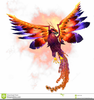 Phoenix Chinese Clipart Image