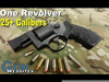 Zombie Revolver Image