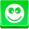 Ok Smile Icon Image