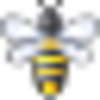 Bee Image