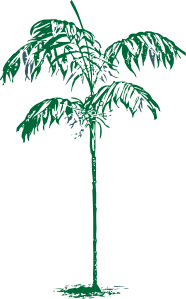 Palm Tree Clip Art at Clker.com - vector clip art online, royalty free ...