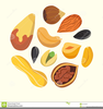 Food Nuts Clipart Image