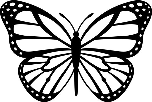 Monarch Butterfly Black White | Free Images at Clker.com - vector clip