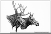 Bull Elk Clipart Image