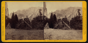 South Dome, And Piute Indian Cashes, Or Storehouses For Acorns Image