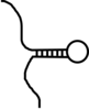 Primary Let-7 Mirna Clip Art