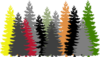 Multi Color Tree Forest Clip Art