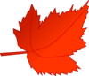 Maple Red Leaf Clip Art