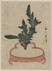 Rikka Flower Arrangement Of Haran. Image