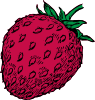 Strawberry 15 Clip Art