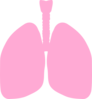 Lungs Clip Art