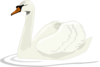 Swan1 Clip Art