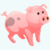 Pig Icon Image