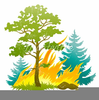 Forest Fire Clipart Free Image