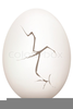 Free Clipart Cracked Egg Image