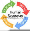 Human Clipart Images Image