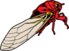 Cicada Bug Clip Art
